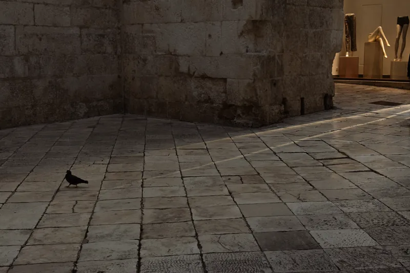 Legs beyond the Iron Gate of Diocletian's Palace. 2024.